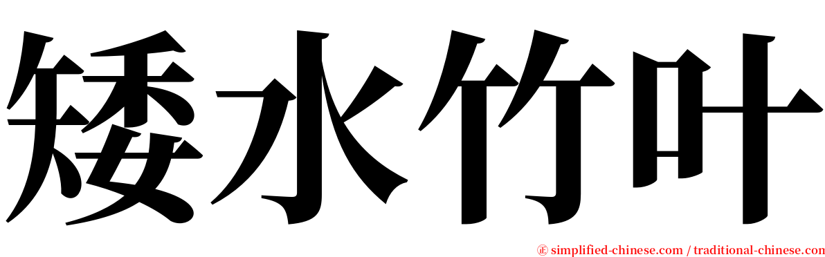 矮水竹叶 serif font