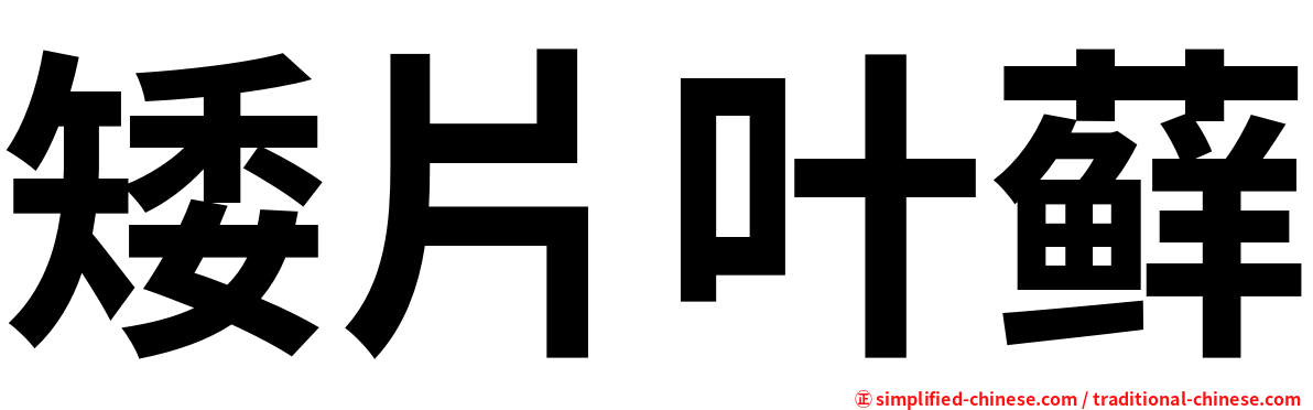 矮片叶藓