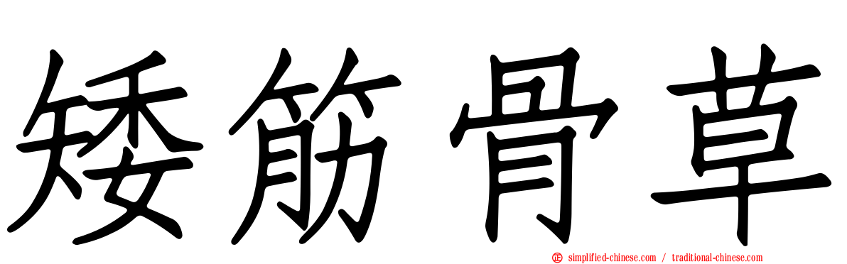 矮筋骨草