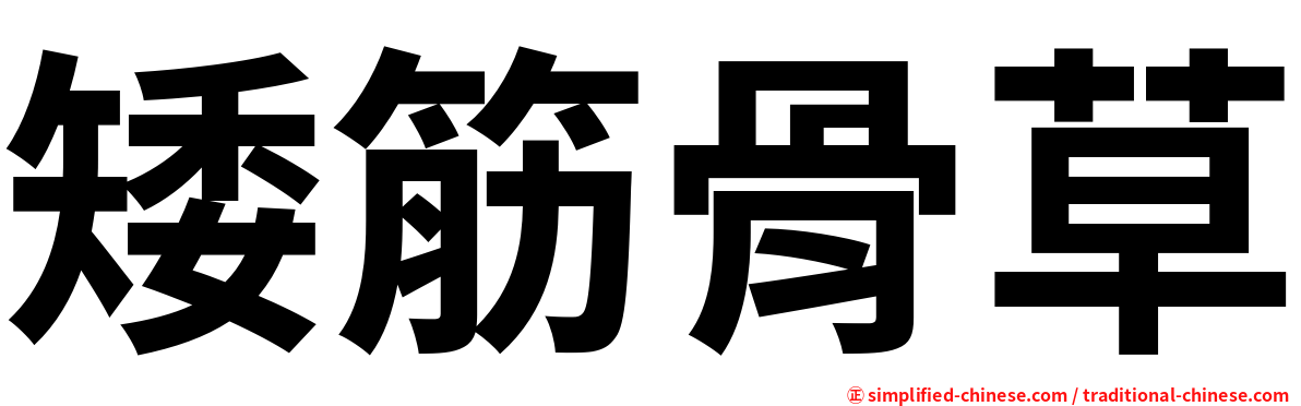 矮筋骨草