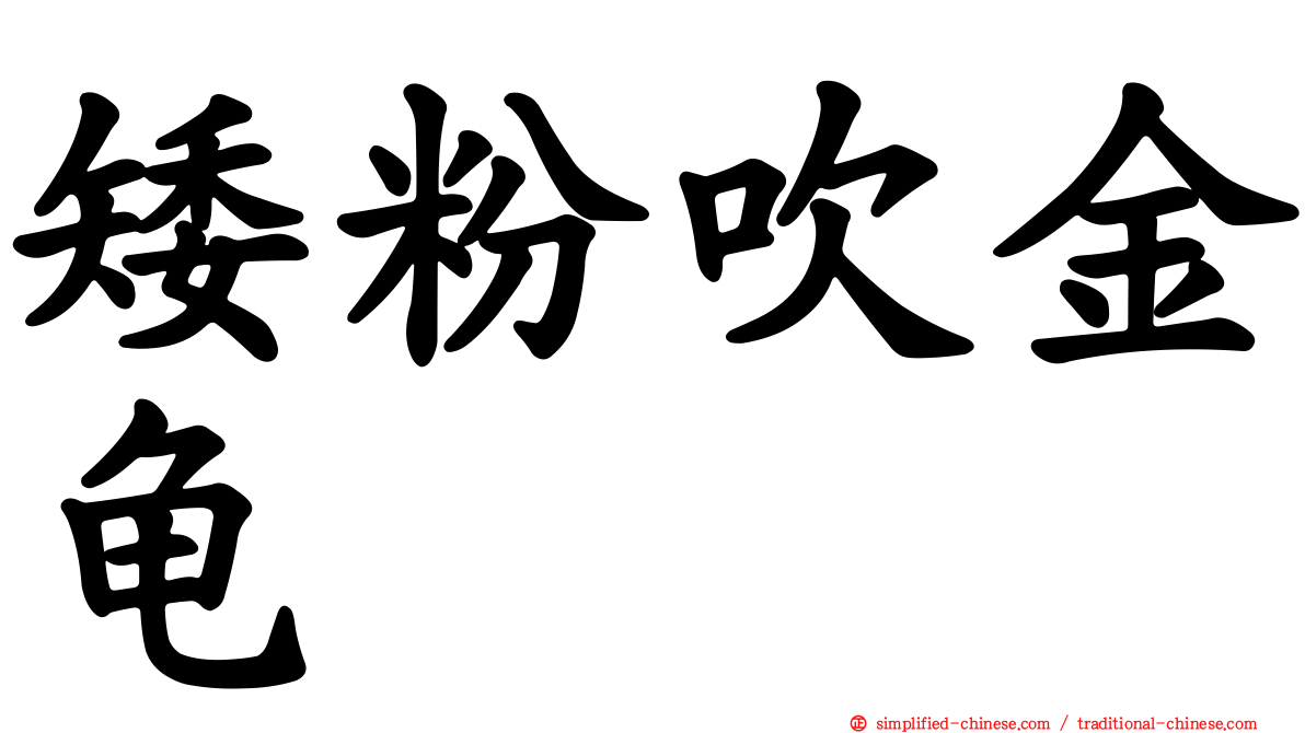 矮粉吹金龟