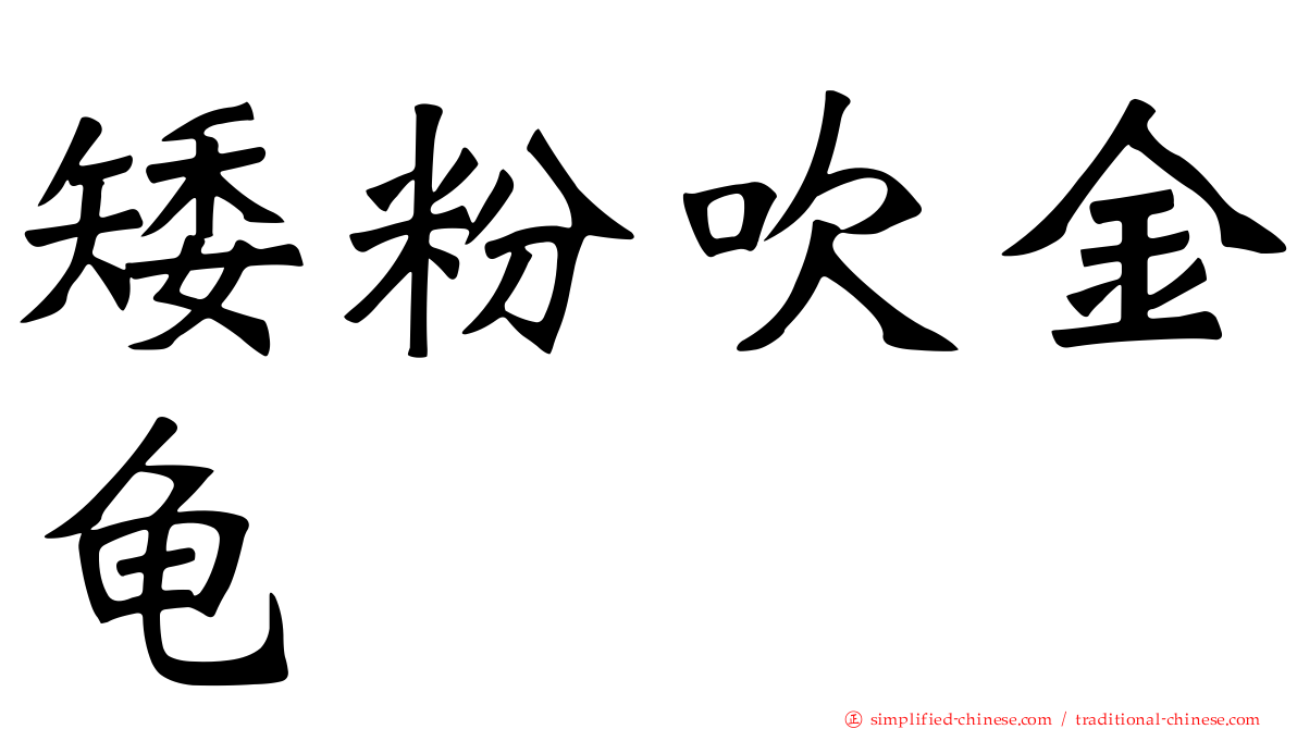 矮粉吹金龟