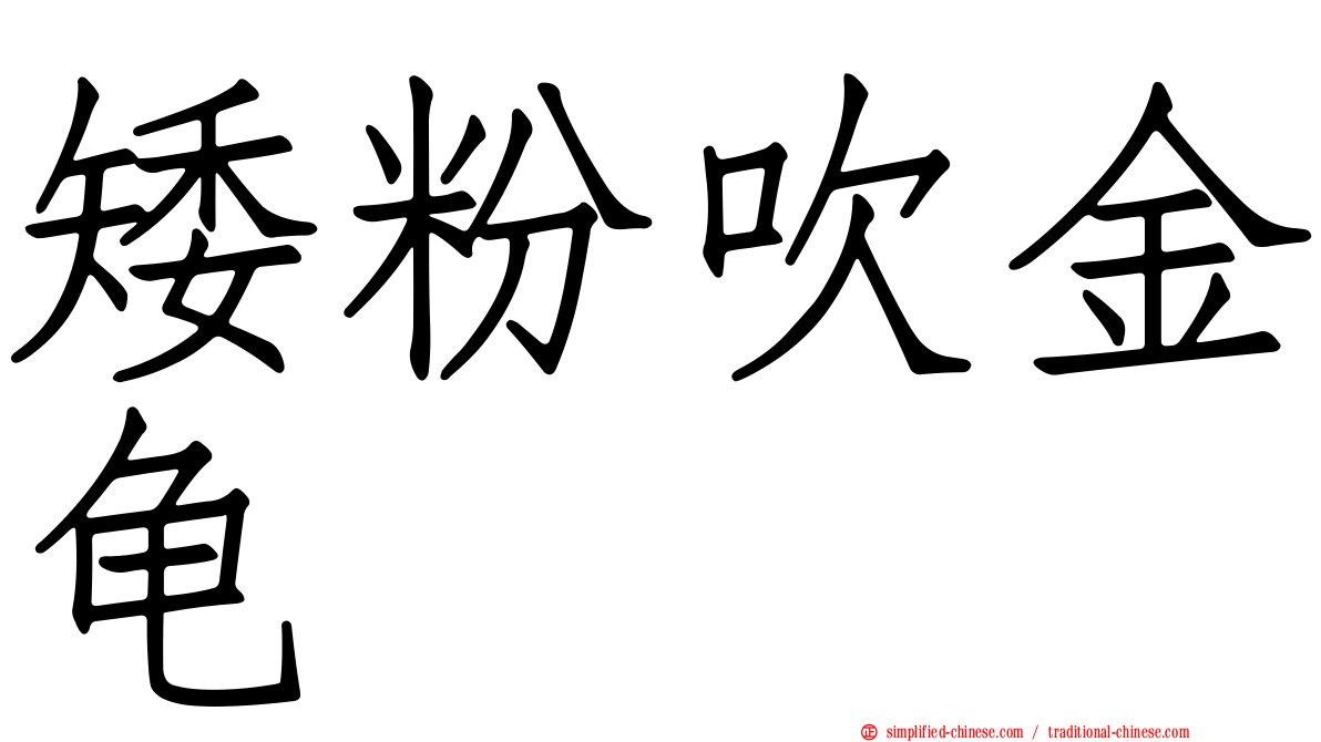 矮粉吹金龟