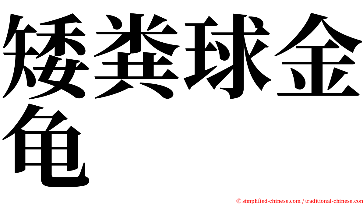 矮粪球金龟 serif font