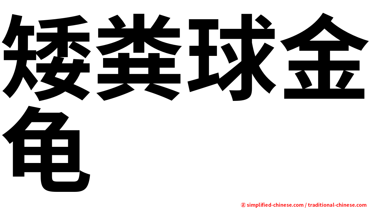 矮粪球金龟
