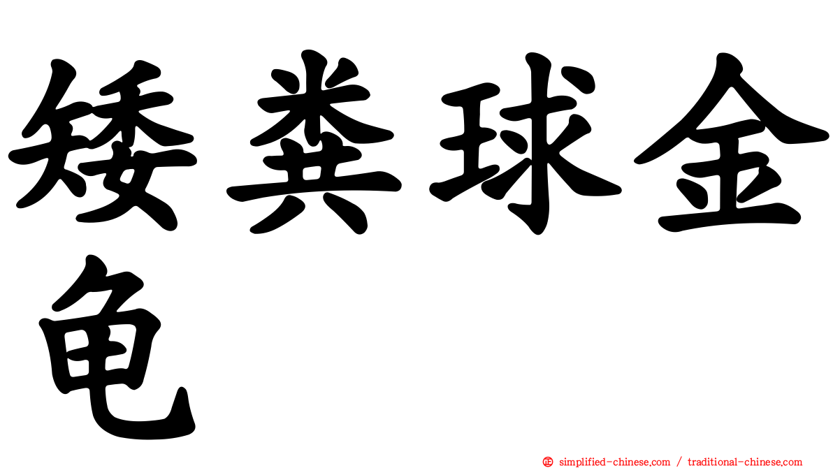矮粪球金龟