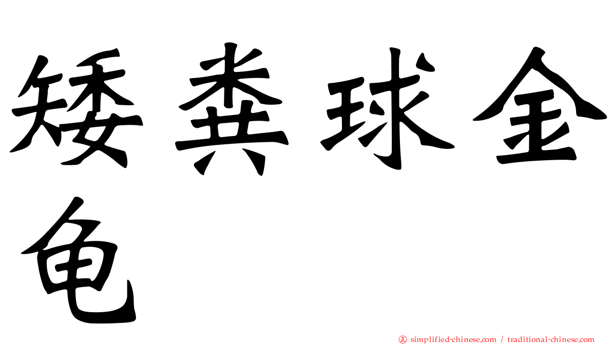 矮粪球金龟