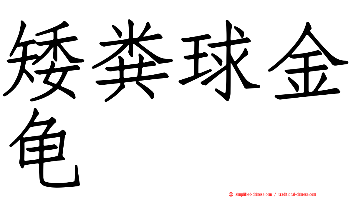 矮粪球金龟