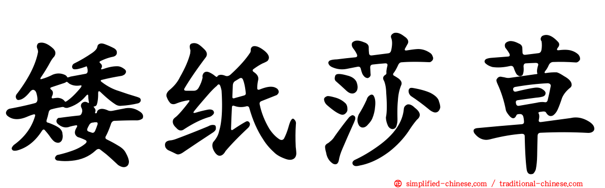 矮纸莎草