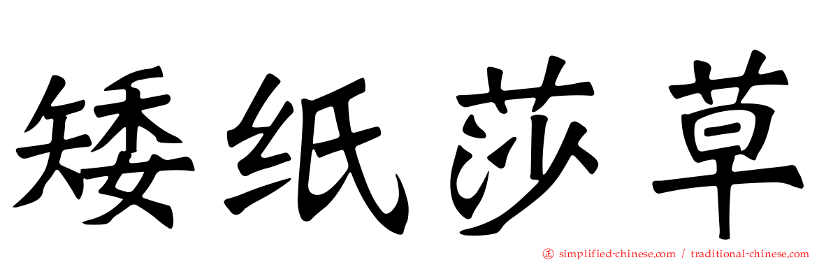 矮纸莎草
