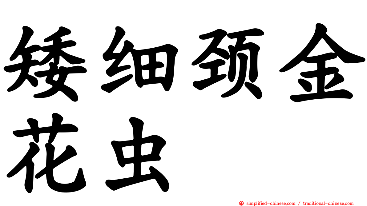 矮细颈金花虫