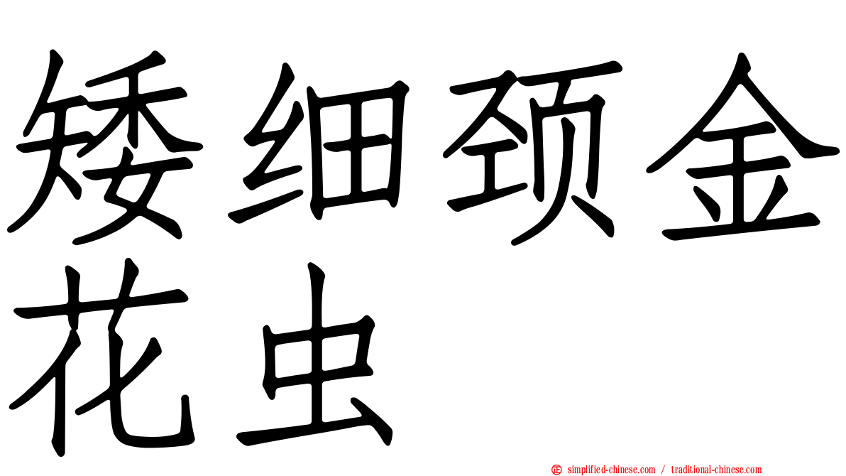 矮细颈金花虫
