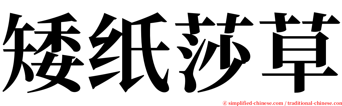 矮纸莎草 serif font