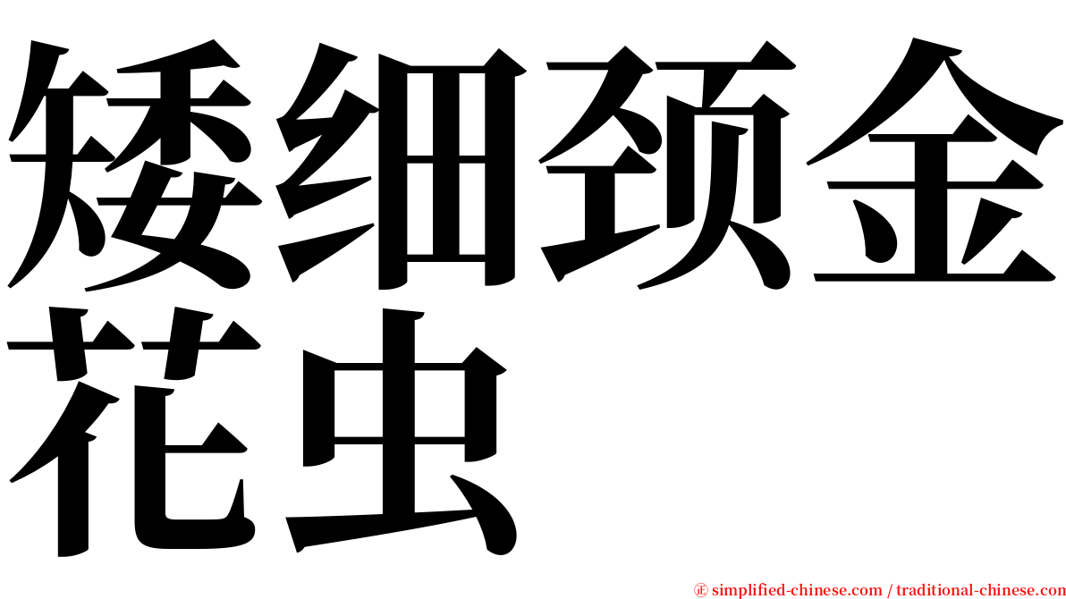 矮细颈金花虫 serif font