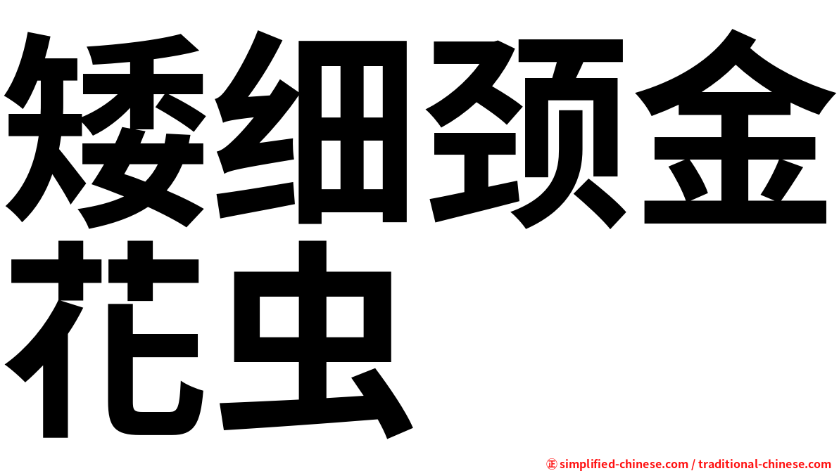 矮细颈金花虫
