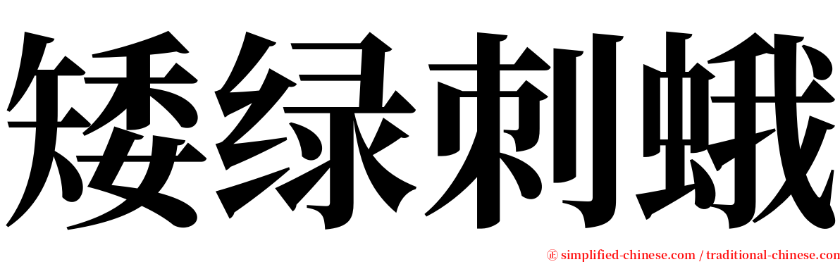 矮绿刺蛾 serif font