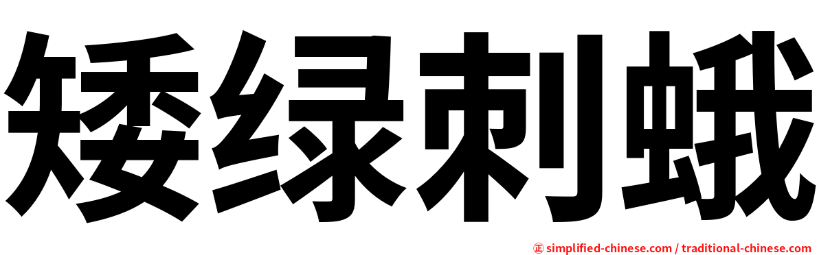 矮绿刺蛾