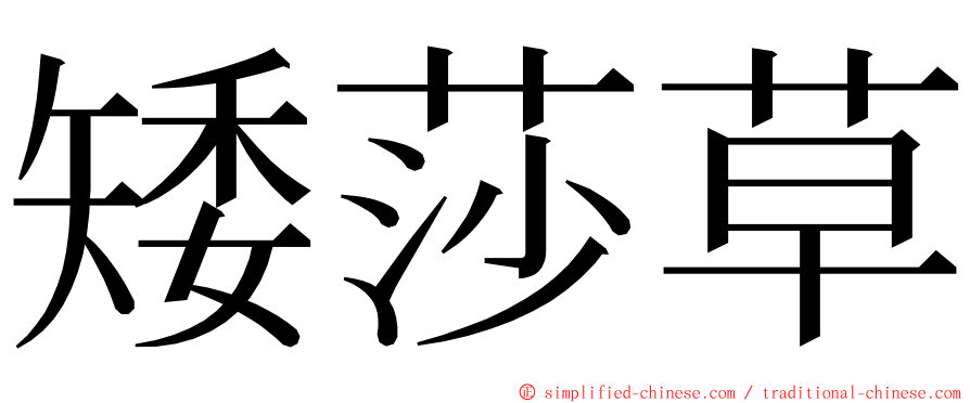 矮莎草 ming font