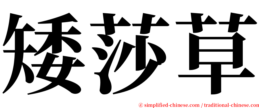 矮莎草 serif font