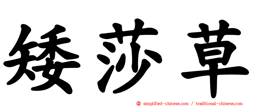 矮莎草