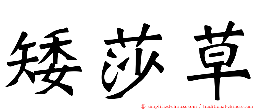 矮莎草