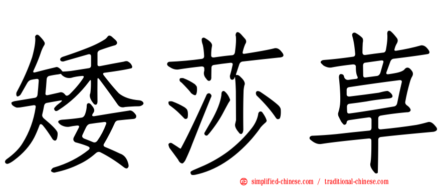 矮莎草