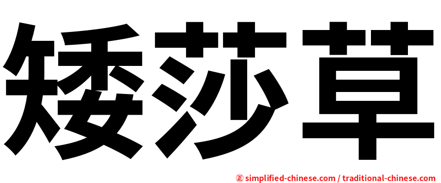 矮莎草
