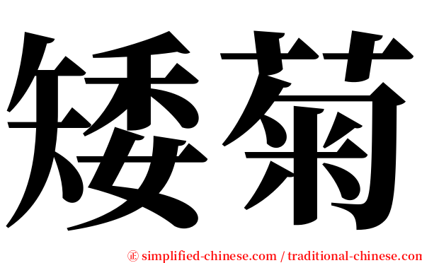 矮菊 serif font
