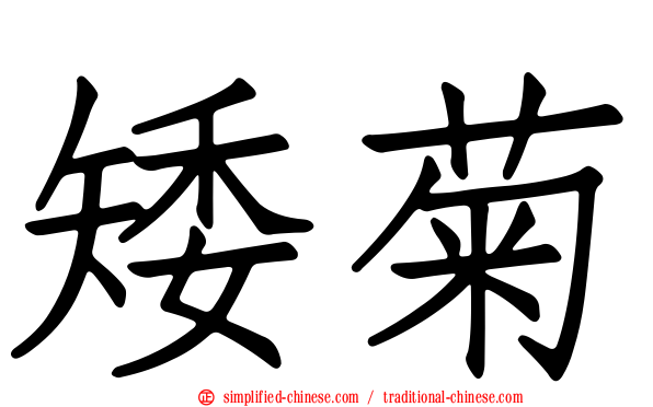 矮菊