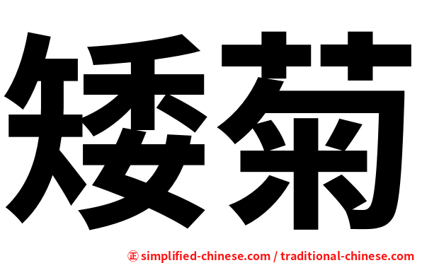 矮菊