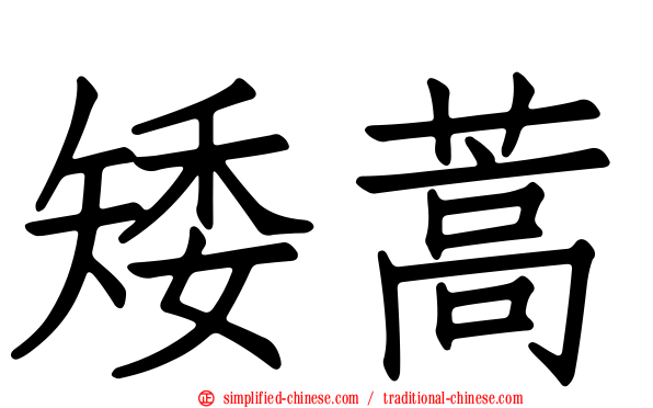 矮蒿