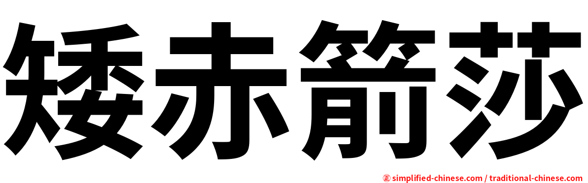 矮赤箭莎