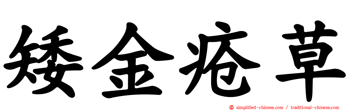 矮金疮草