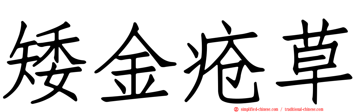 矮金疮草