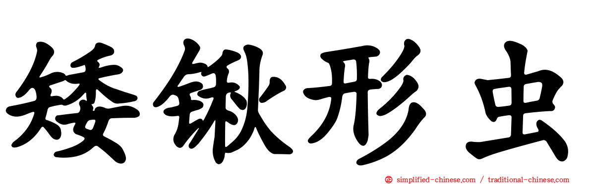 矮锹形虫