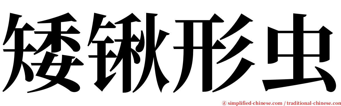 矮锹形虫 serif font
