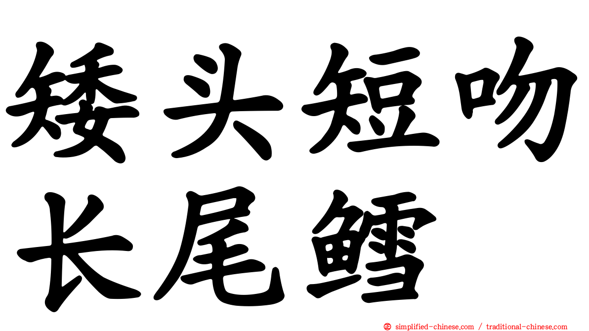矮头短吻长尾鳕