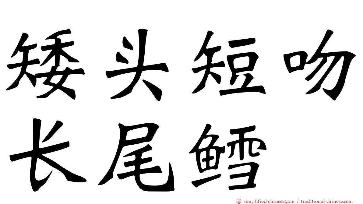 矮头短吻长尾鳕