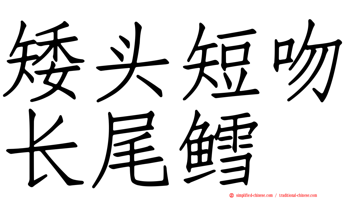 矮头短吻长尾鳕