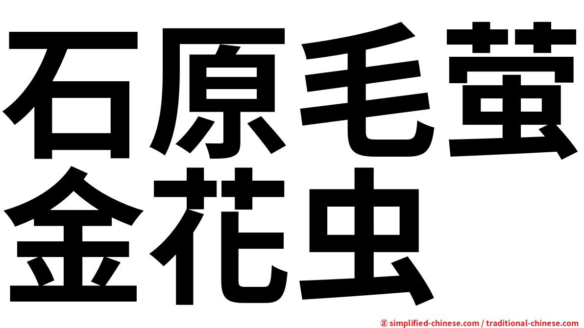 石原毛萤金花虫