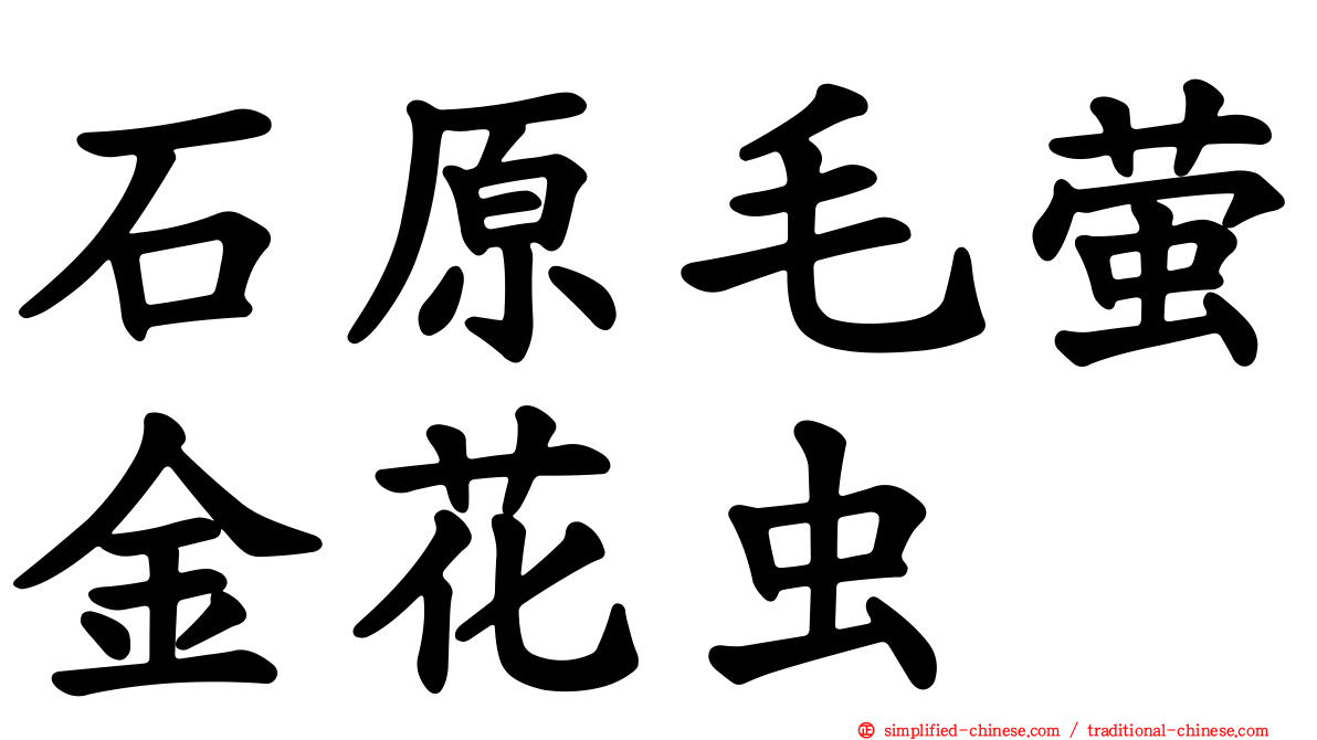 石原毛萤金花虫