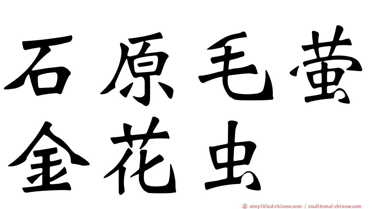 石原毛萤金花虫