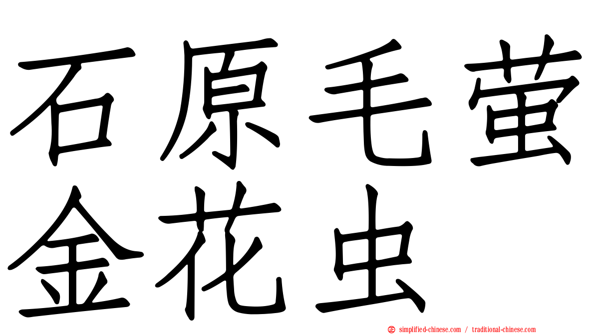 石原毛萤金花虫
