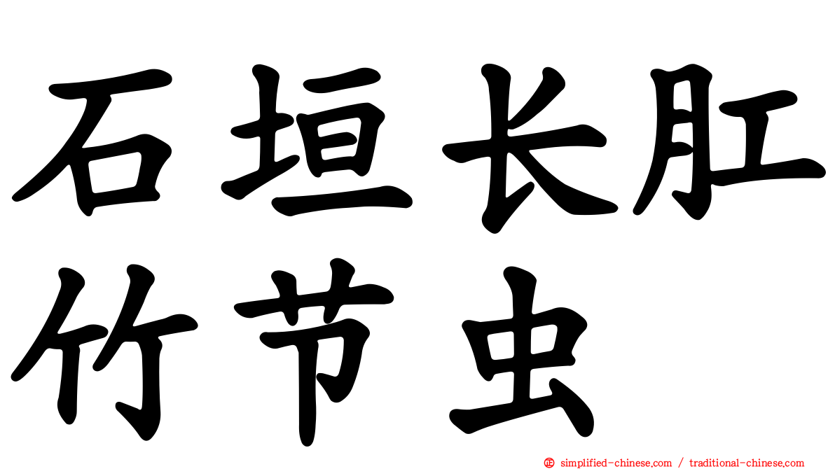 石垣长肛竹节虫