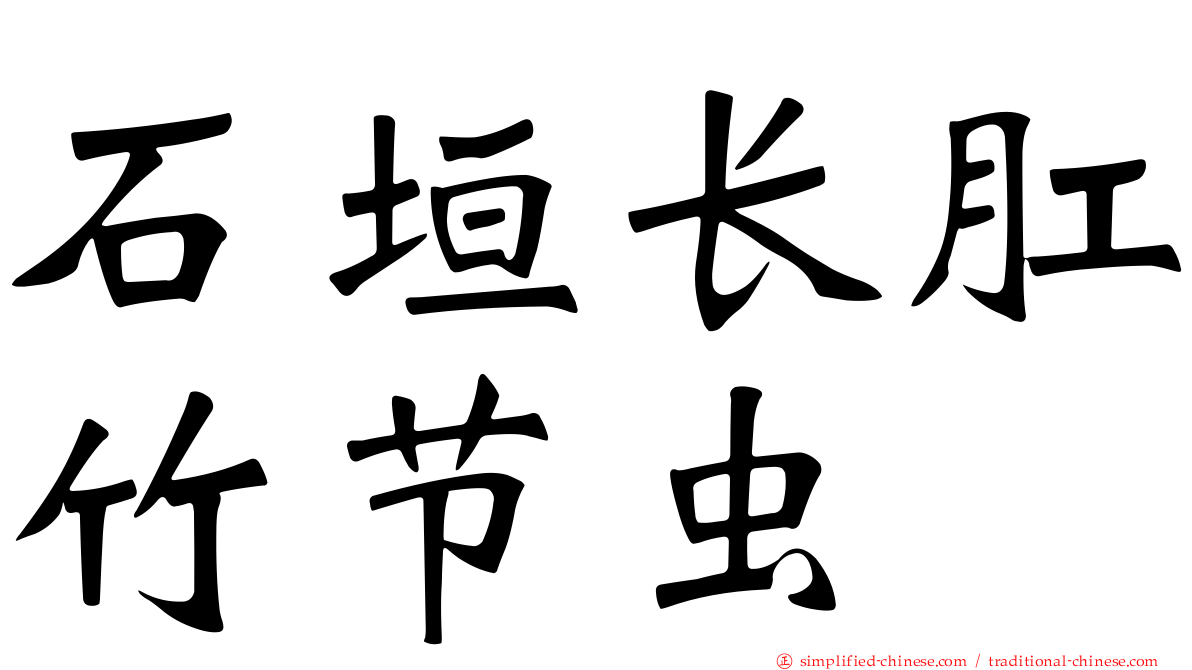 石垣长肛竹节虫