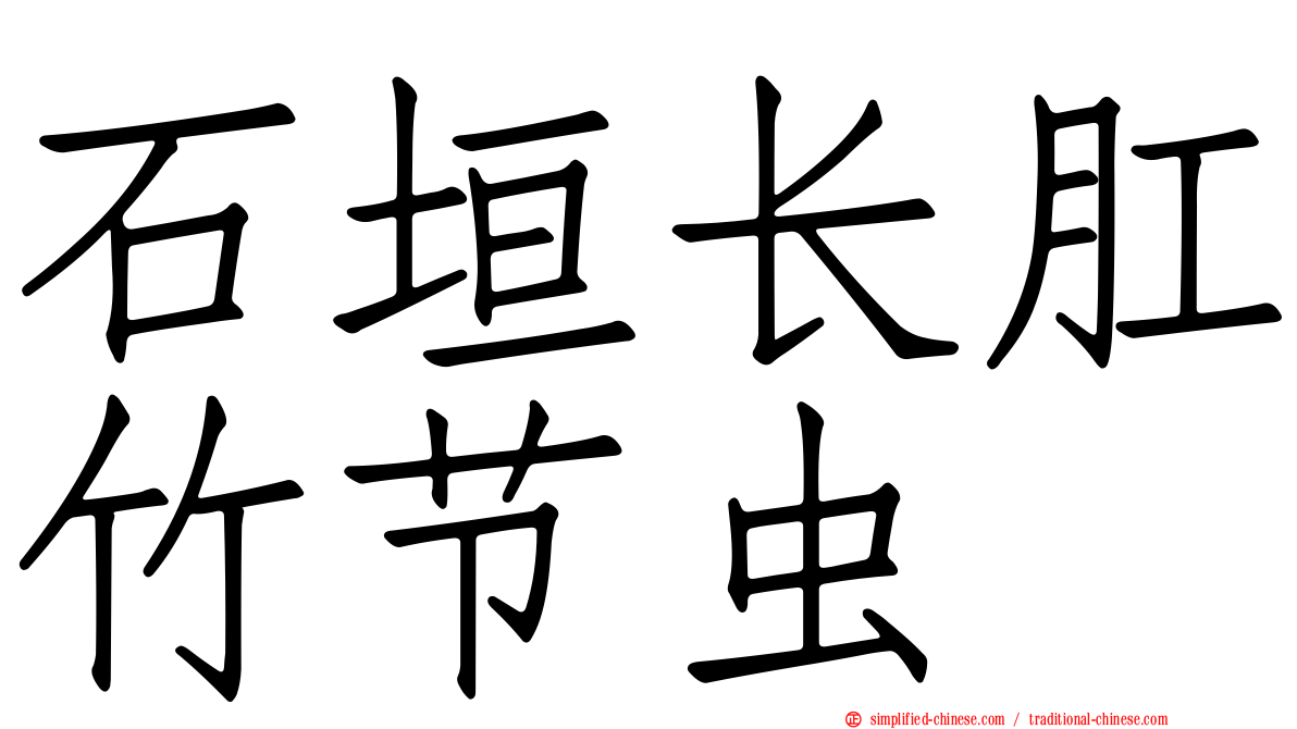 石垣长肛竹节虫
