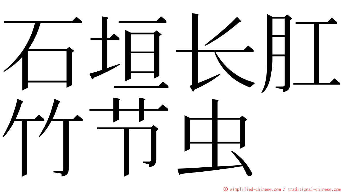 石垣长肛竹节虫 ming font