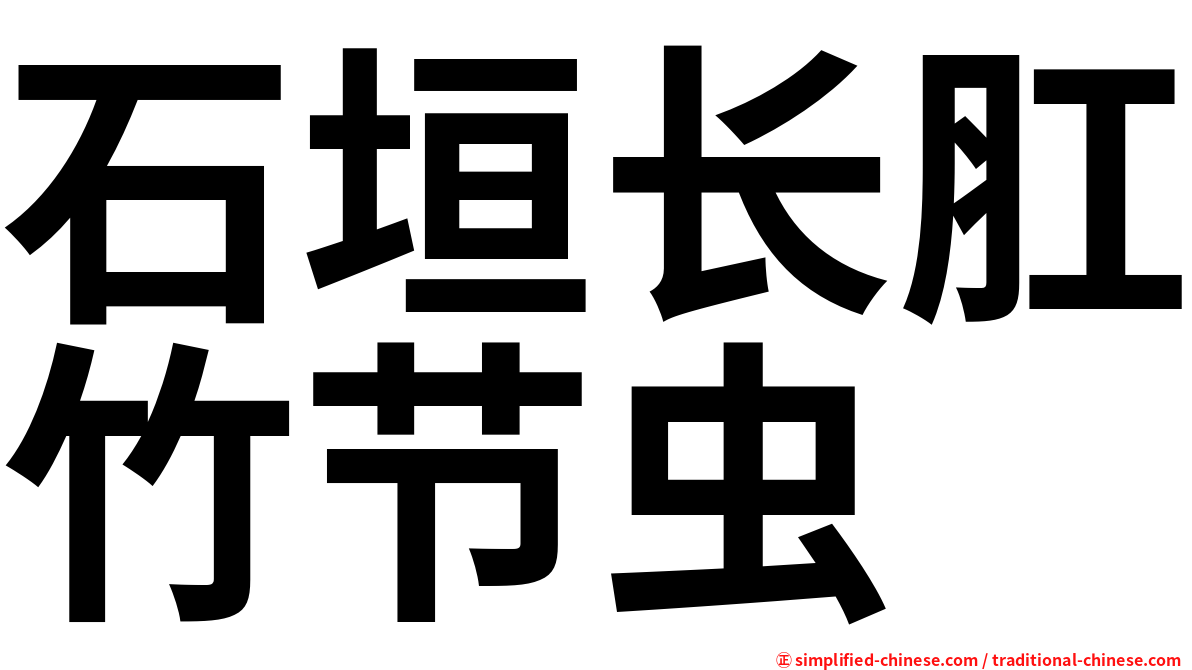 石垣长肛竹节虫