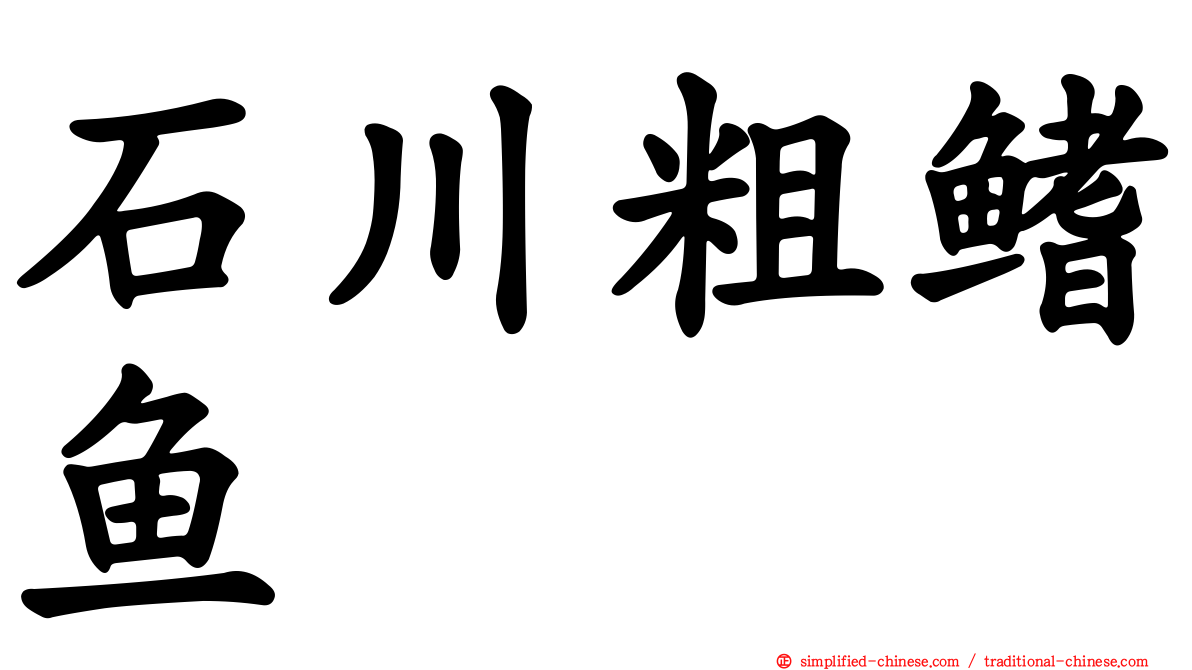 石川粗鳍鱼