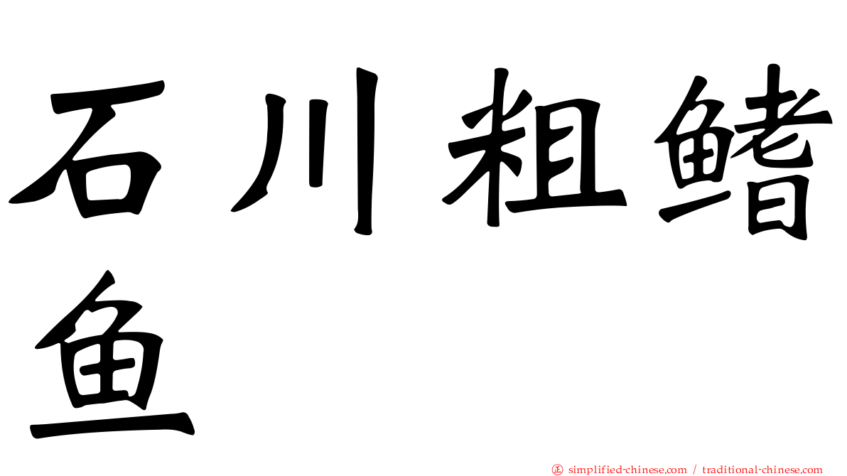 石川粗鳍鱼